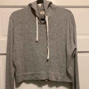 Hollister California Gray Pullover Women's Hoodie Crop Medium